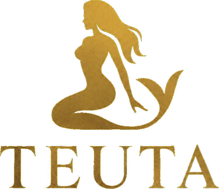 Teuta Executive Transport